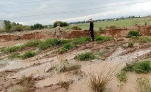 1204144.de5037b1bdc.2e16d0ba.format-webp.fill-1668x1014