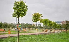 1568177645_large.2e16d0ba.format-webp.fill-1668x1014