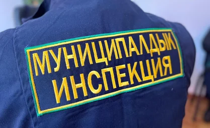 1737712267.original