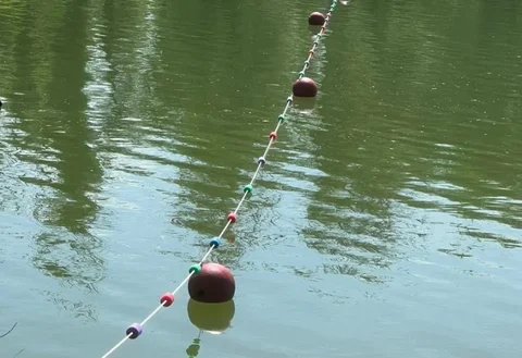 1751866527.max-2560x1440.format-webp.jpegquality-90.webp