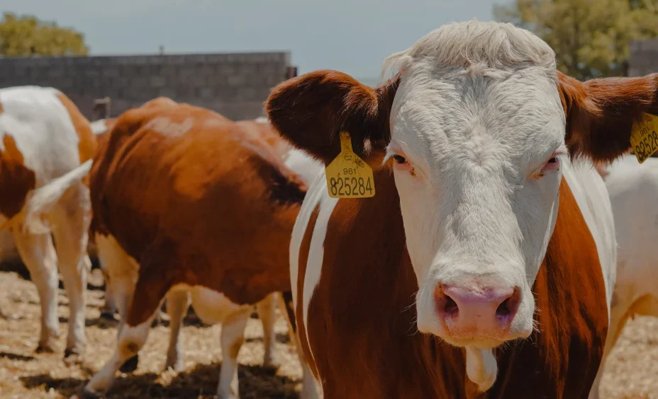 2021-06-23_15-02-21.2e16d0ba.format-webp.fill-1668x1014