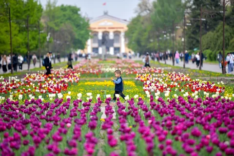 373873.max-2560x1440.format-webp.jpegquality-90
