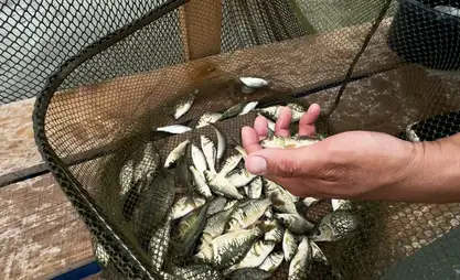 阿克巴沙特5号养鱼场每年的捕鱼量达到50吨