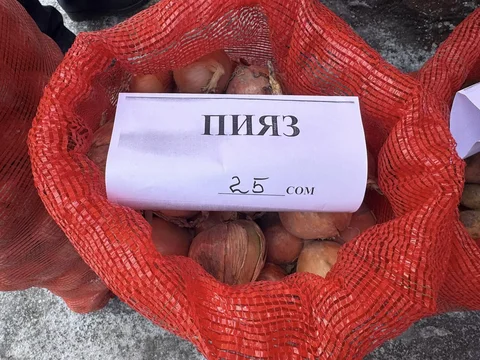 476156017_1788331098675528_3817255420769384314_.original