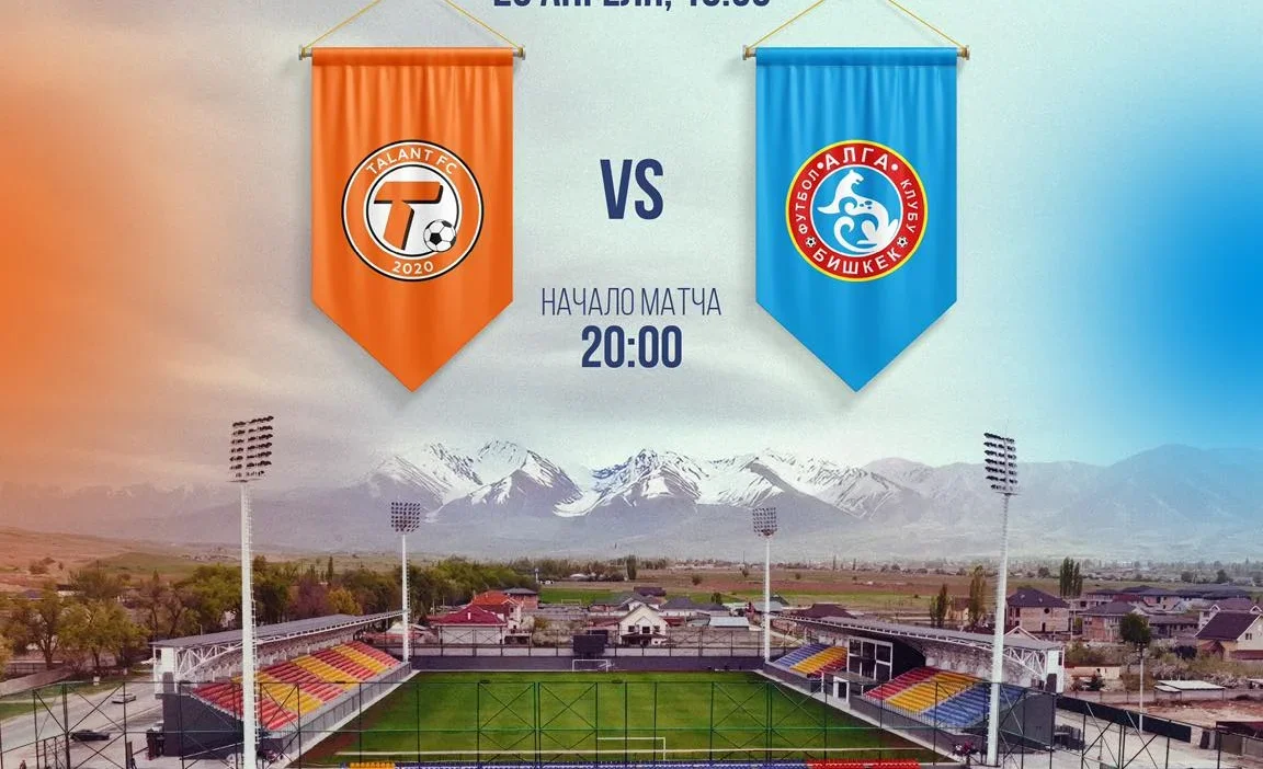 491381004_111256480.2e16d0ba.format-webp.fill-1668x1014