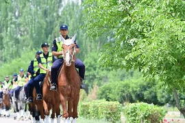 504378878_1126.max-2560x1440.format-webp.jpegquality-90.webp