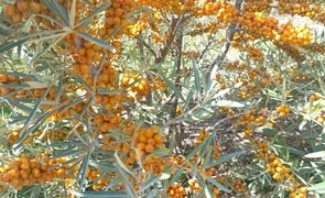 5123797f-cdc5-4510-.2e16d0ba.format-webp.fill-1668x1014