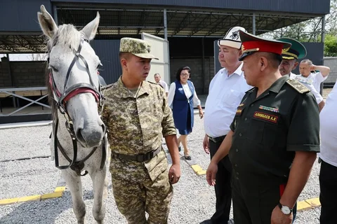 52151860298568_fSdslPA.max-2560x1440.format-webp.jpegquality-90