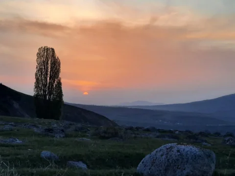 52242468560732.max-2560x1440.format-webp.jpegquality-90.webp
