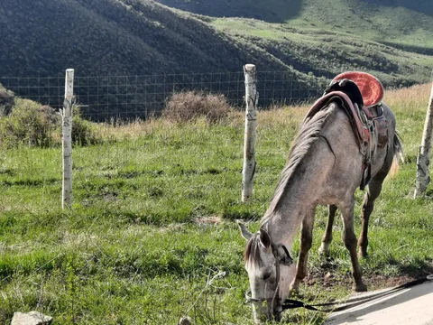 52242468560732_MMRuHaa.max-2560x1440.format-webp.jpegquality-90.webp