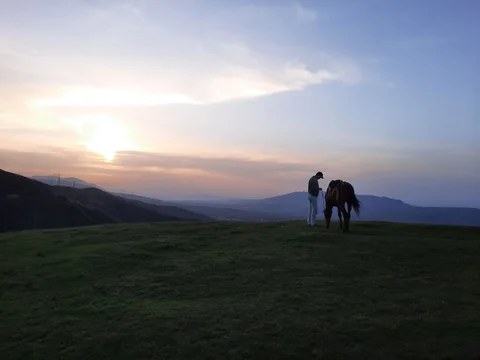 52242468560732_rzgSXPa.max-2560x1440.format-webp.jpegquality-90.webp