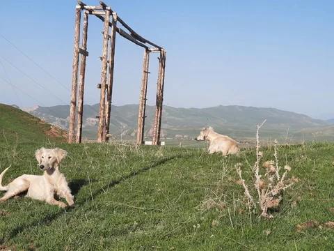52242468560732_zaei8x2.max-2560x1440.format-webp.jpegquality-90.webp