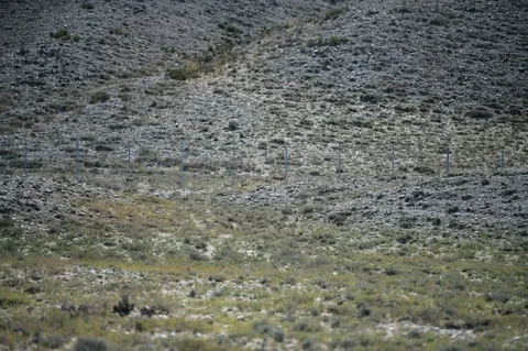 52354934684559_tqlduYw.max-2560x1440.format-webp.jpegquality-90.webp