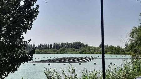 524370301_1807.max-2560x1440.format-webp.jpegquality-90.webp