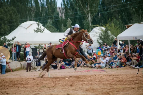 527366896_4235.max-2560x1440.format-webp.jpegquality-90