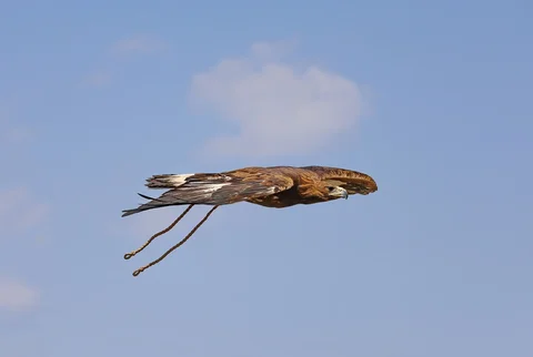 527744708_1023.max-2560x1440.format-webp.jpegquality-90