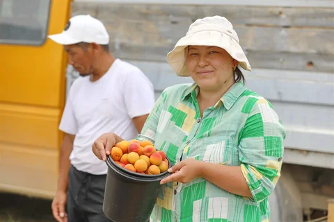 533584756_1023.max-2560x1440.format-webp.jpegquality-90