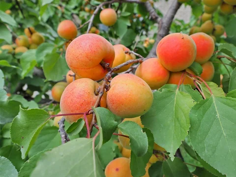 534364497_1023.max-2560x1440.format-webp.jpegquality-90