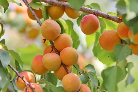 534679028_1023.max-2560x1440.format-webp.jpegquality-90
