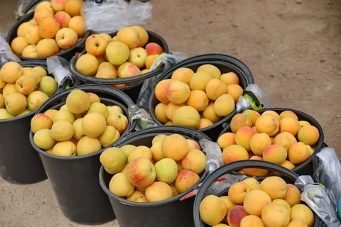 535144683_1023.max-2560x1440.format-webp.jpegquality-90
