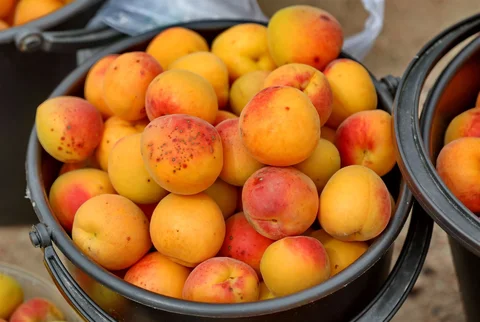 535169703_1023.max-2560x1440.format-webp.jpegquality-90