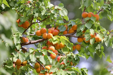 535823670_1023.max-2560x1440.format-webp.jpegquality-90
