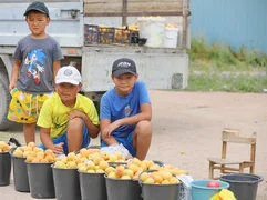 535862986_1023.max-2560x1440.format-webp.jpegquality-90