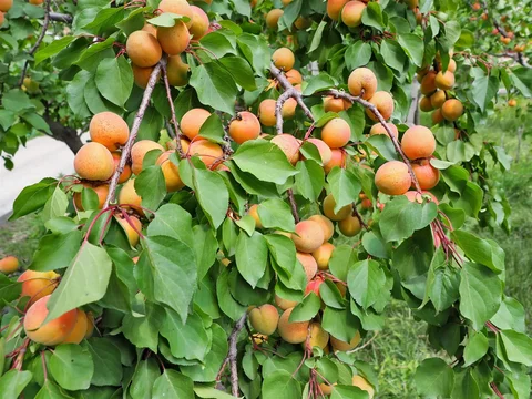 535867946_1023.max-2560x1440.format-webp.jpegquality-90