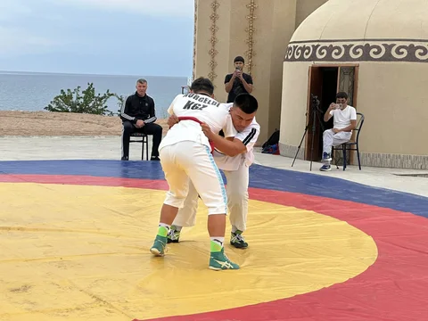 536267144_7867.max-2560x1440.format-webp.jpegquality-90