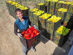 555684567_1023.max-2560x1440.format-webp.jpegquality-90 (1)