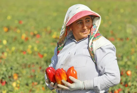 555981156_1023.max-2560x1440.format-webp.jpegquality-90