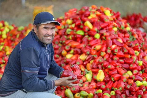 556142141_1023_cEqaLWg.max-2560x1440.format-webp.jpegquality-90