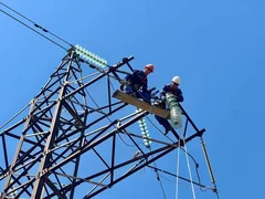 556831666_7895.max-2560x1440.format-webp.jpegquality-90