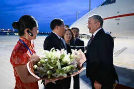 68595d192252d-.max-2560x1440.format-webp.jpegquality-90