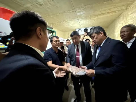83e0b429-5ad8-.max-2560x1440.format-webp.jpegquality-90.webp