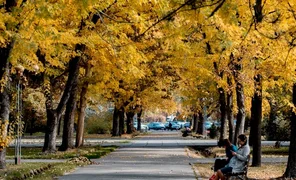 93312.2e16d0ba.format-webp.fill-1668x1014