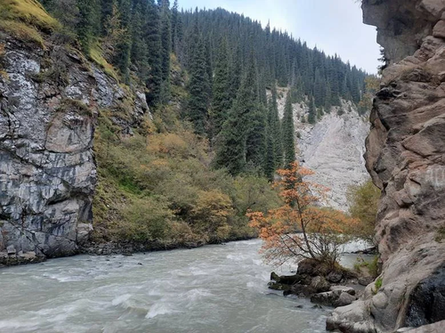 Bez_nazvaniya__JlUNQSX.max-2560x1440.format-webp.jpegquality-90