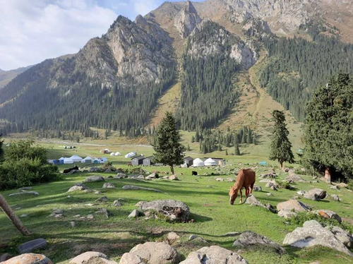 Bez_nazvaniya__gcoaZeN.max-2560x1440.format-webp.jpegquality-90