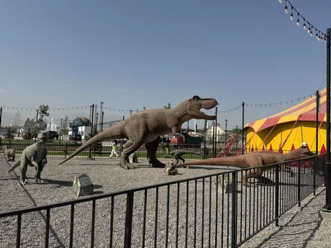 IMG_7003.max-2560x1440.format-webp.jpegquality-90.webp