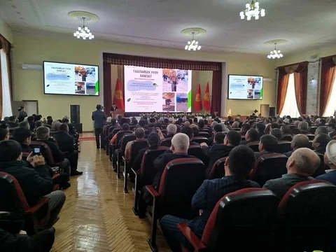 WhatsApp_Image_2025-01-29_at_10_kYh05eR.48.04.original