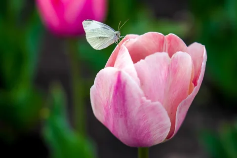 WhatsApp_Image_2025-04-08_at__8hIx35l.max-1920x1080.format-webp