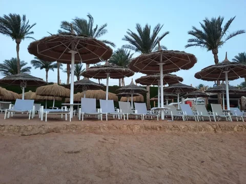 WhatsApp_Image_2025-04-22_at__iQfVM0s.max-1920x1080.format-webp