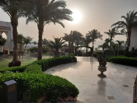 WhatsApp_Image_2025-04-22_at__OS1JNVj.max-1920x1080.format-webp