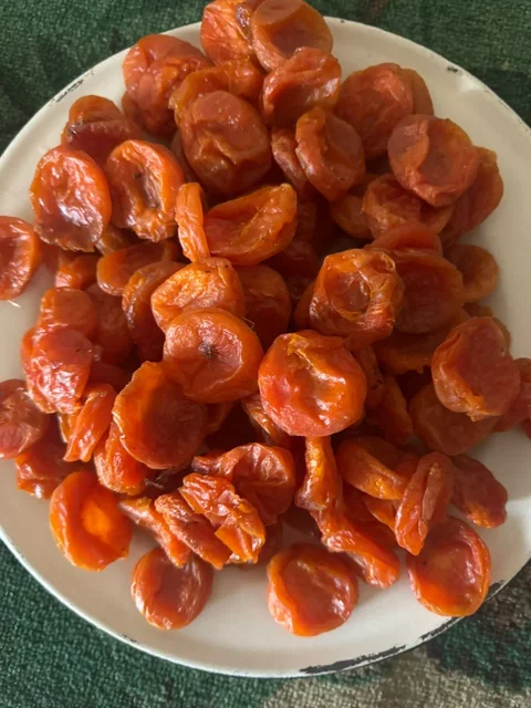 WhatsApp_Image_8PmDQXi.max-2560x1440.format-webp.jpegquality-90