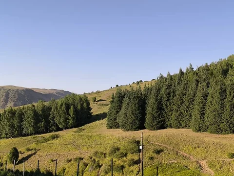 WhatsApp_Image_K6mqbfL.max-2560x1440.format-webp.jpegquality-90.webp