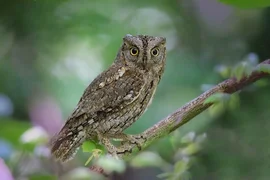 WhatsApp_Image_vxTnhjg.max-2560x1440.format-webp.jpegquality-90