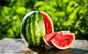 arbuz.2e16d0ba.format-webp.fill-1668x1014