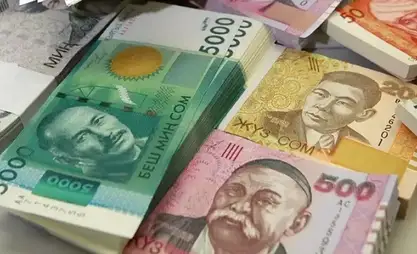 超过50万吉尔吉斯斯坦人有小额贷款——用于哪些目的？