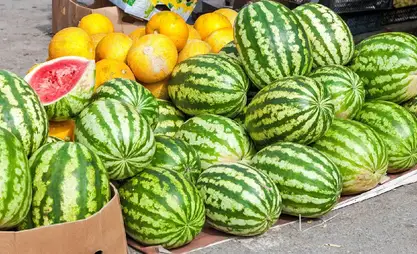 吉尔吉斯斯坦加强进口瓜类质量控制