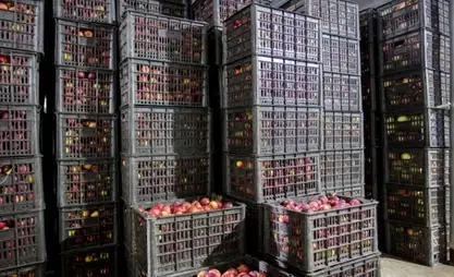 阿拉布克区建设500吨农产品现代化仓库